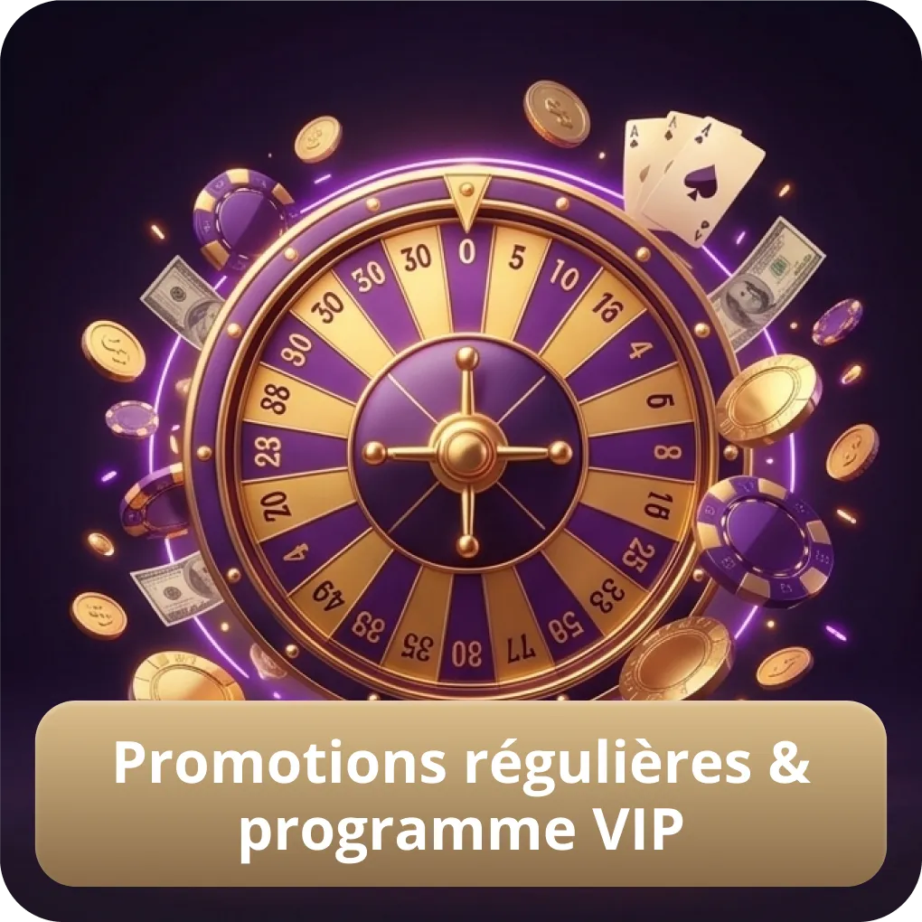 Promotions Régulières & Programme VIP